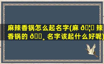 麻辣香锅怎么起名字(麻 🦆 辣香锅的 🌸 名字该起什么好呢)